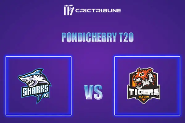 SHA vs TIG Live Score, In the Match of Pondicherry T20 which will be played at Cricket Association Puducherry Siechem Ground. SHA vs TIG Live Score, Match bet..