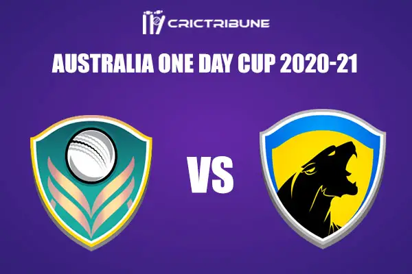VCT vs TAS Live Score, 5th, Match, Australia One Day Cup 2021, VCT vs TAS Live Score Updates 2