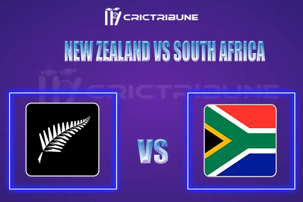 NZ vs SA Live Score, In the Match of Sharjah New Zealand vs South Africa 2022, which will be played at  Hagley Oval, Christchurch. NZ vs SA Live Score, Match bet