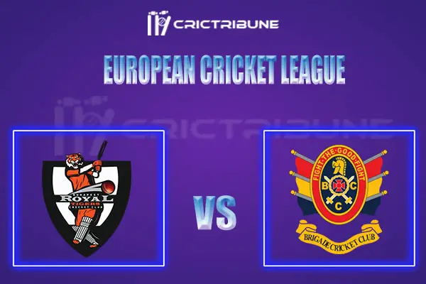 ROT vs BRI Live Score, In the Match of European Cricket League 2022, which will be played at Cartama Oval, Cartama..ROT vs INB Live Score, Match between Royal T