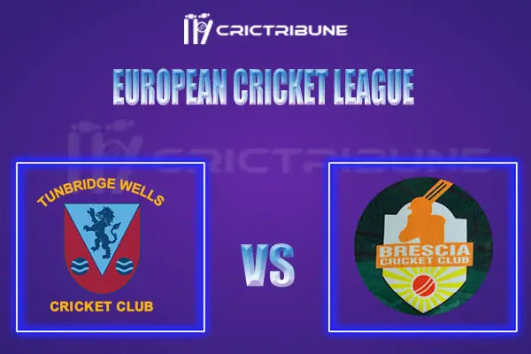 TW vs ALZ Live Score, In the Match of European Cricket League 2022, which will be played at Cartama Oval, Cartama. TW vs ALZ Live Score, Match between Alby Zalm